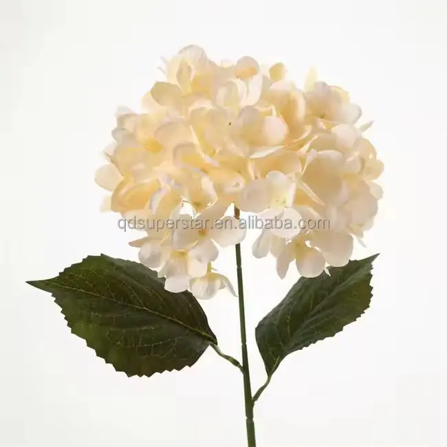 ورد 3790