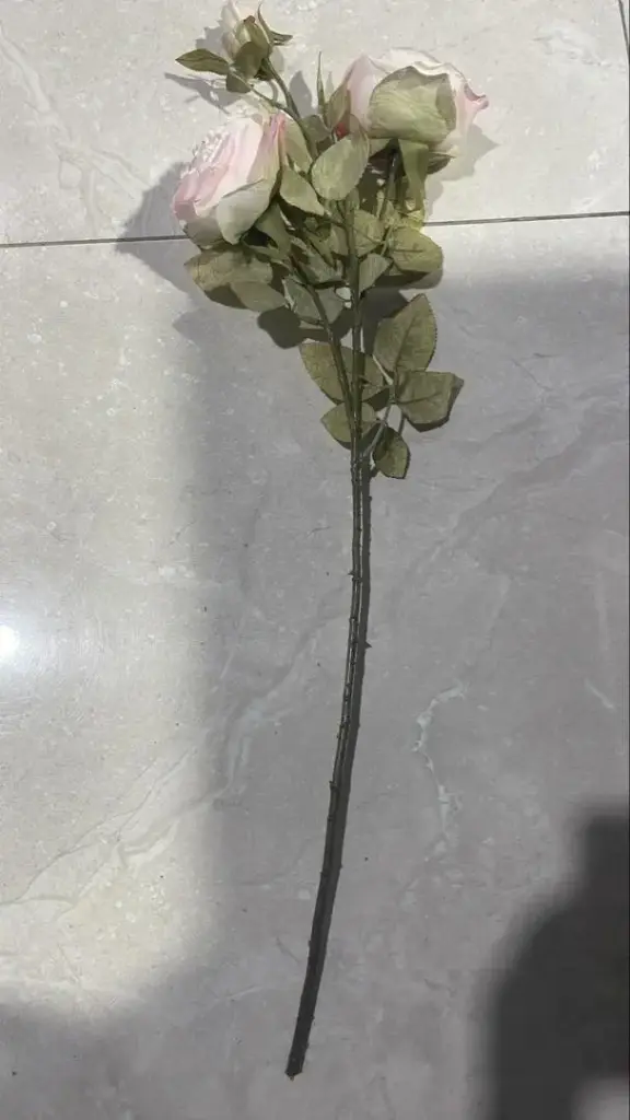 ورد 4165