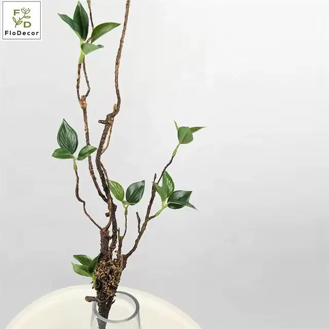 ورد عرف 9108/6