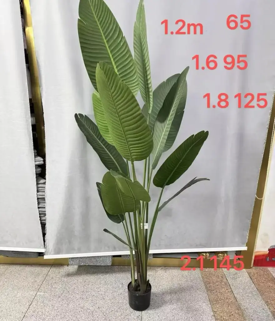 شجرة 1/294