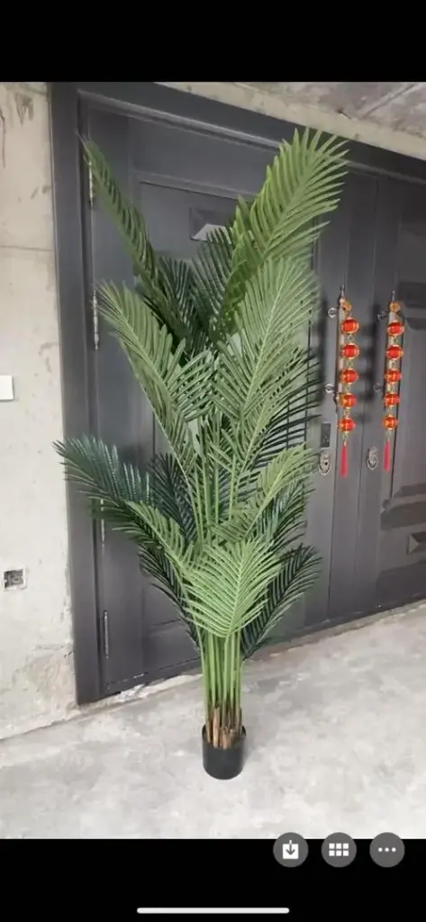 شجرة 1/297