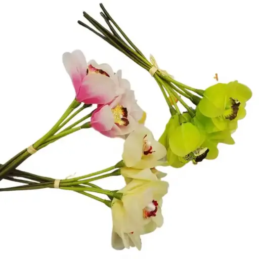 [ورد 30230] ورد 30230