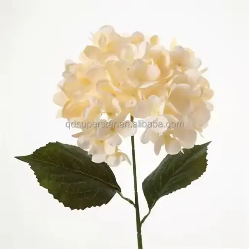 [ورد 3790] ورد 3790