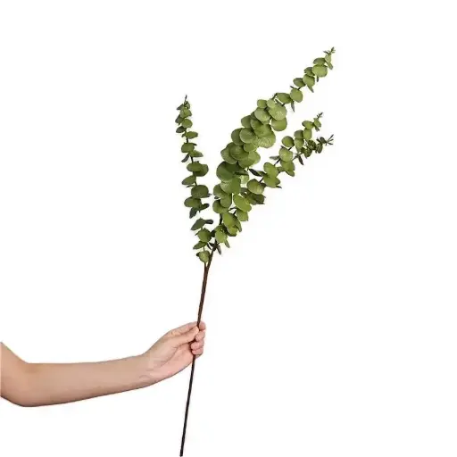 [ورد 4/5] ورد 4/5