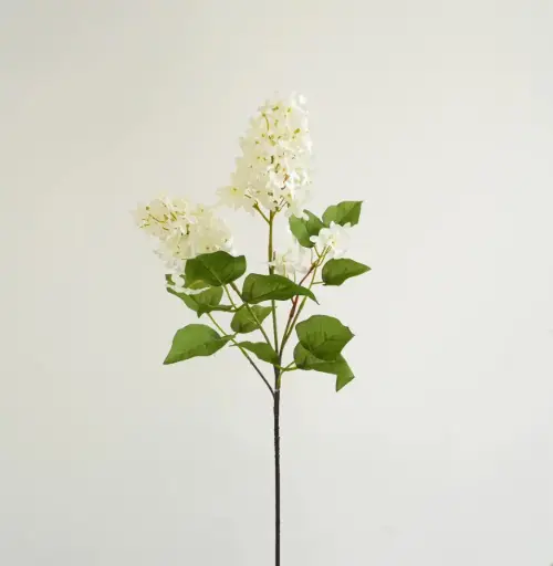 [ورد 4/8] ورد 4/8