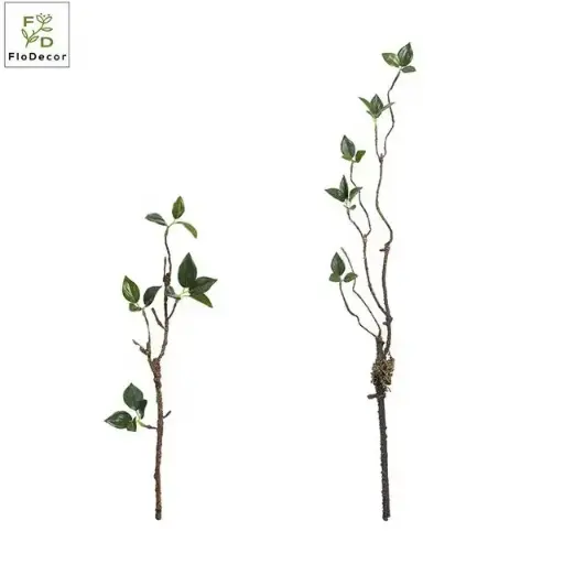 [ورد عرف 9108/5] ورد عرف 9108/5