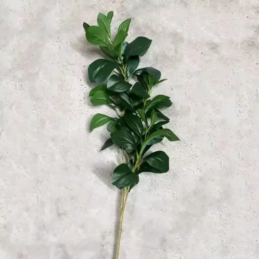 [وردعرف 9108/4] وردعرف 9108/4