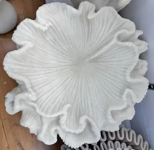 [تحفة 1/17] تحفة 1/17