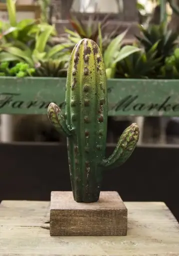 [صبارة 1/279] صبارة 1/279