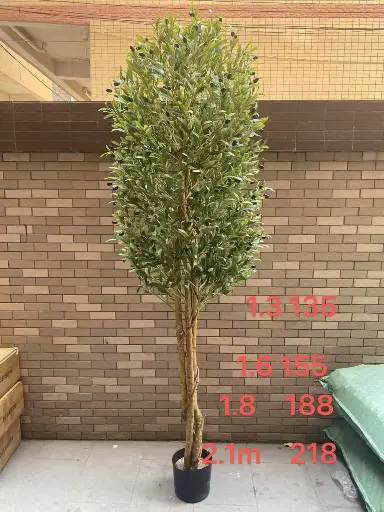 [شجرة  1/287] شجرة  1/287