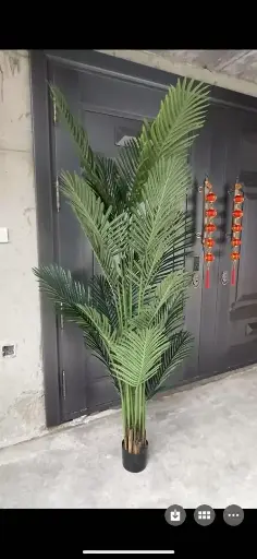 [شجرة 1/295] شجرة 1/295